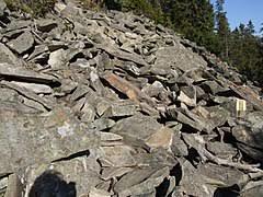 Rezerwat przyrody Luboń Wielki